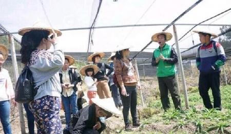 1488965585196034.jpg 14.jpg