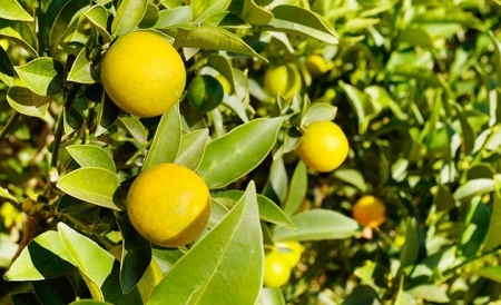 1488965757573465.jpg 03.jpg